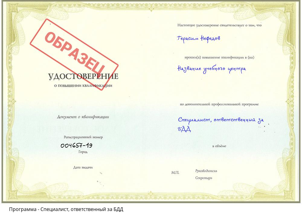 Специалист, ответственный за БДД Гагарин