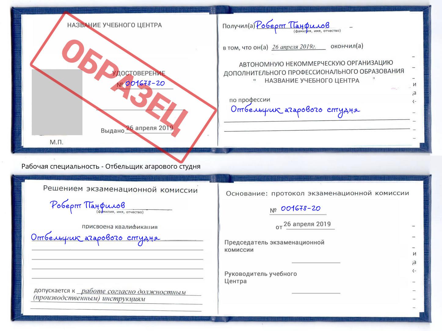 Отбельщик агарового студня Гагарин