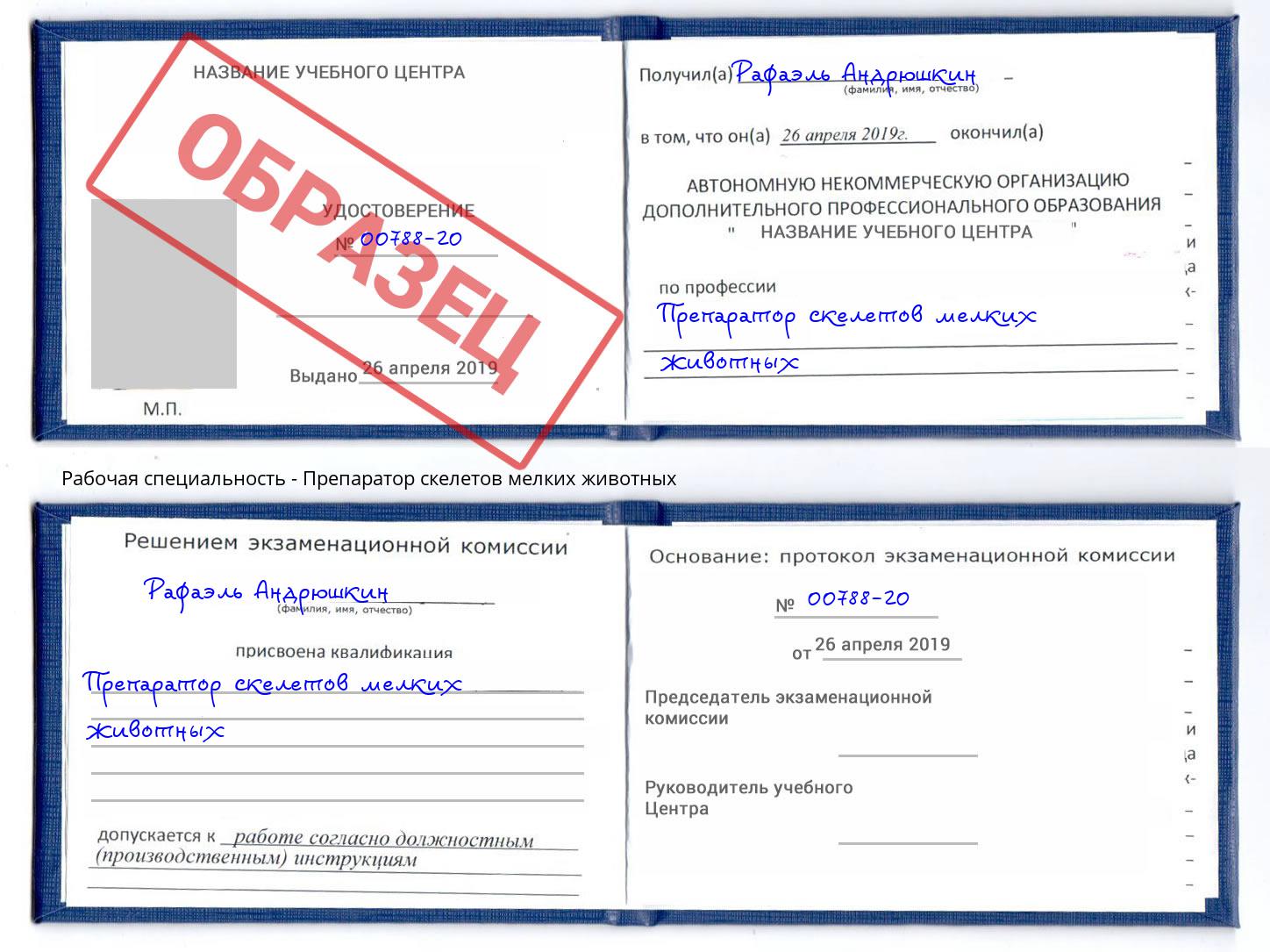Препаратор скелетов мелких животных Гагарин