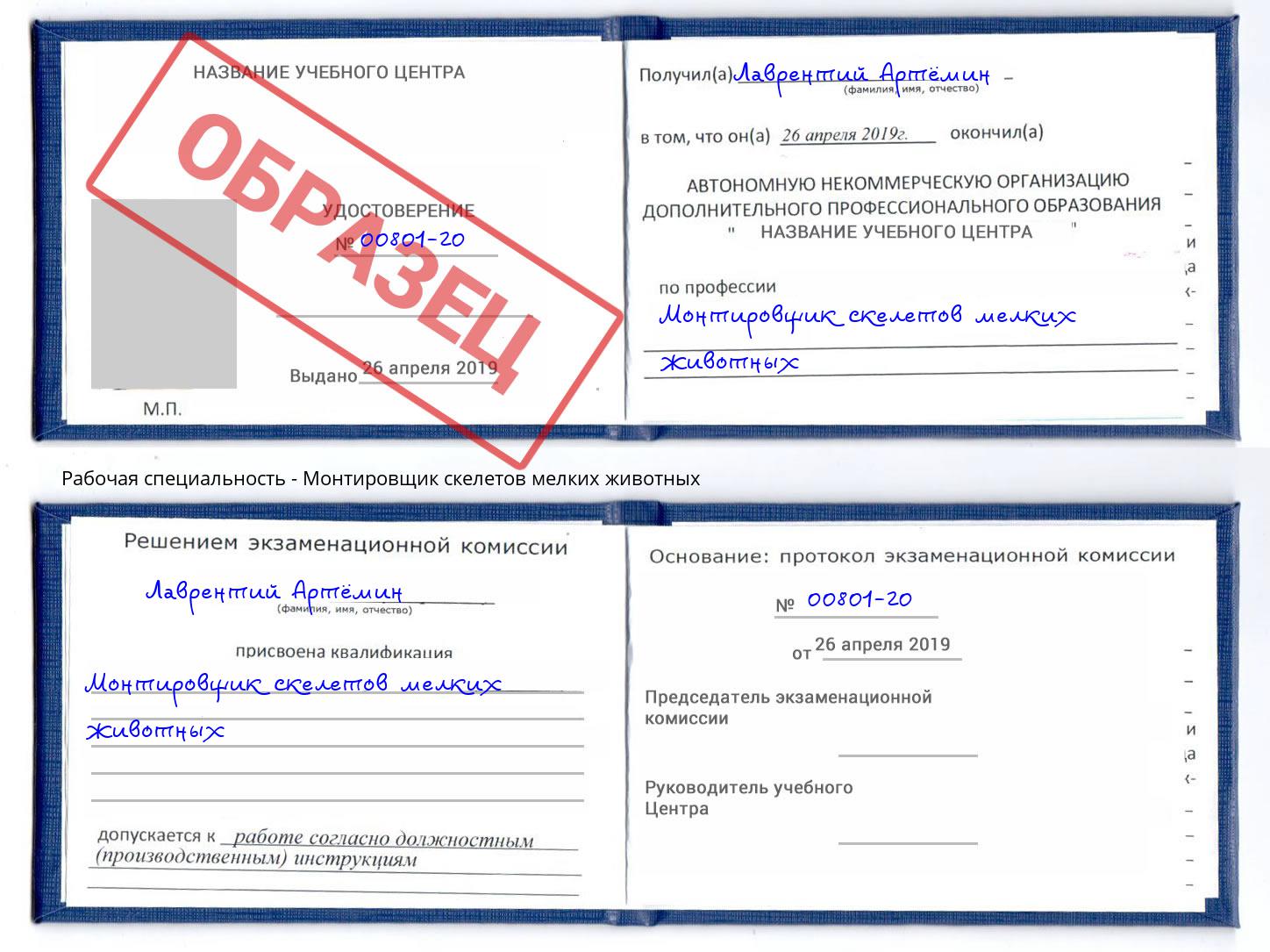 Монтировщик скелетов мелких животных Гагарин