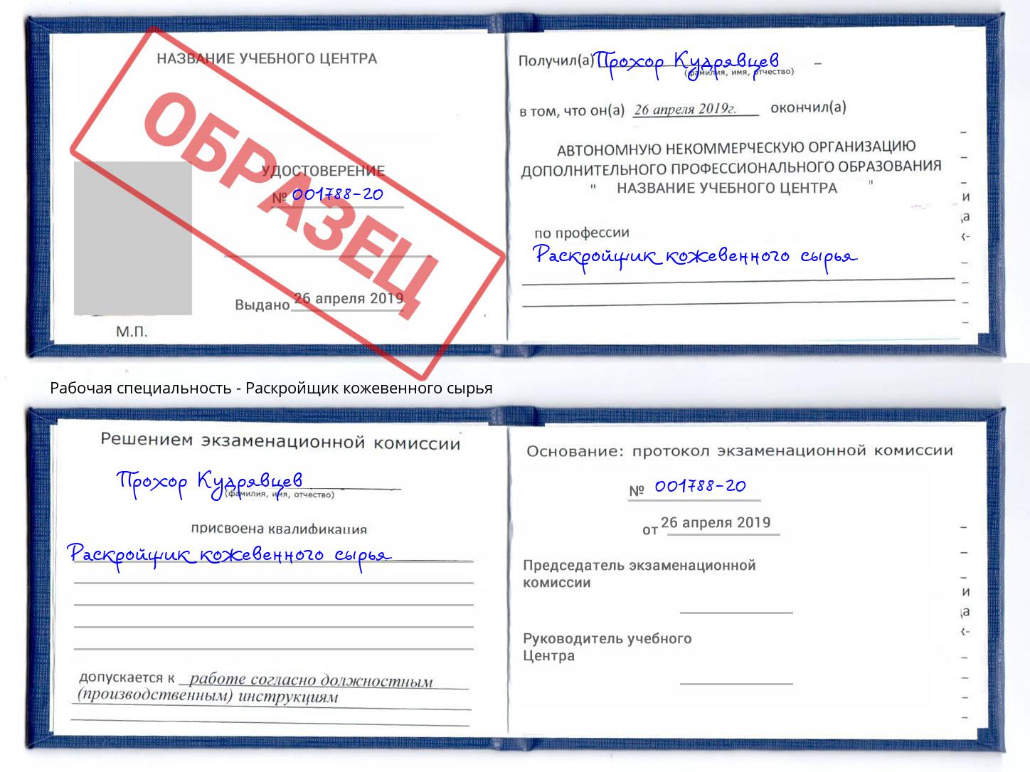Раскройщик кожевенного сырья Гагарин