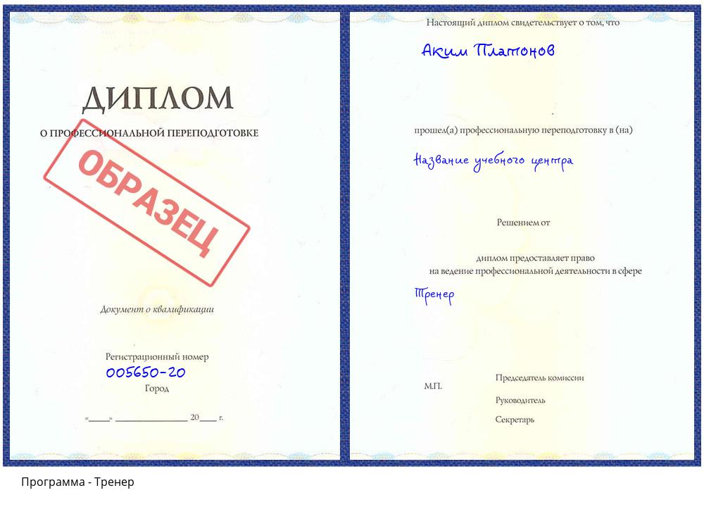Тренер Гагарин