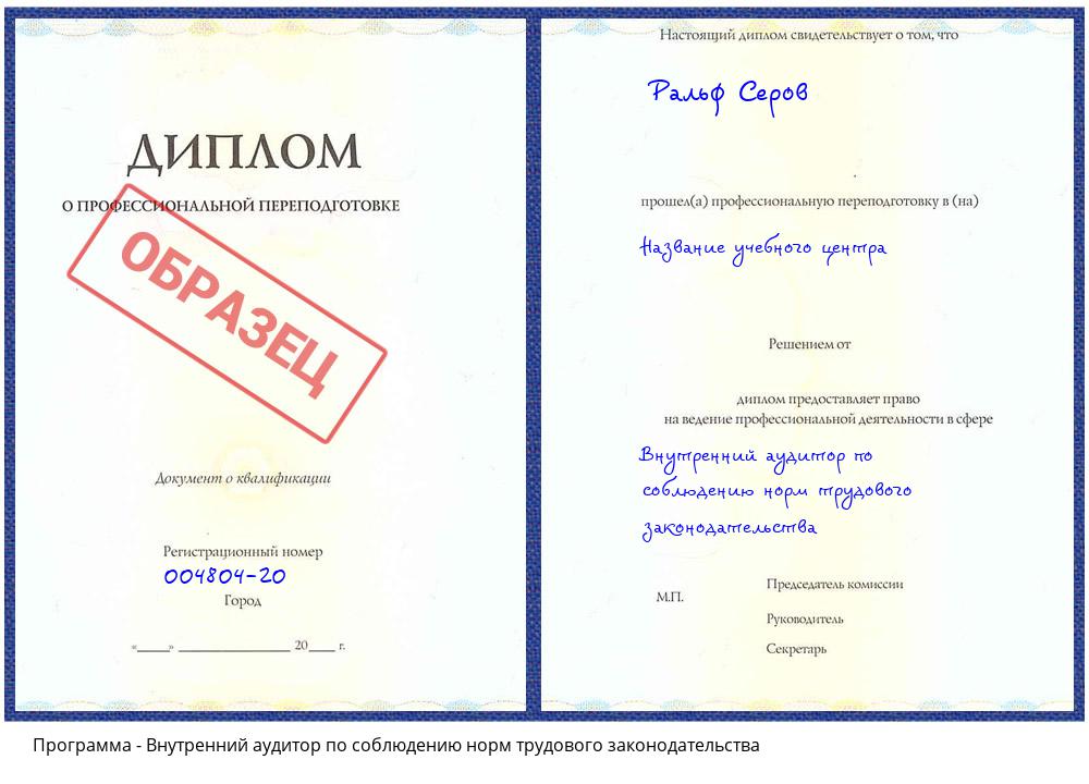 Внутренний аудитор по соблюдению норм трудового законодательства Гагарин
