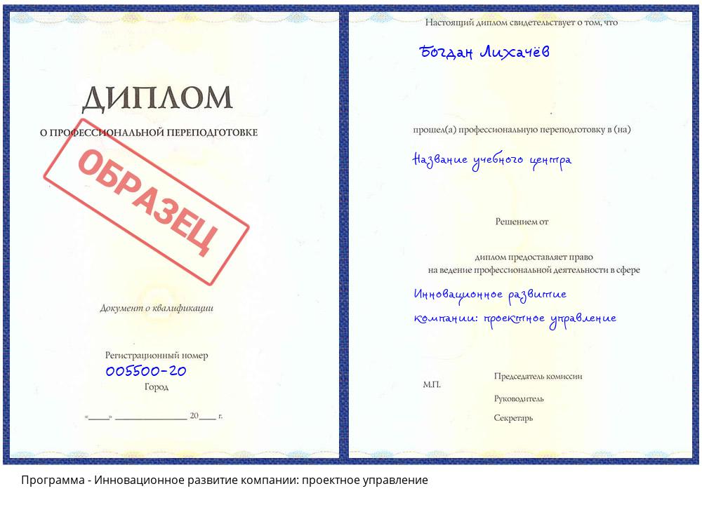 Инновационное развитие компании: проектное управление Гагарин