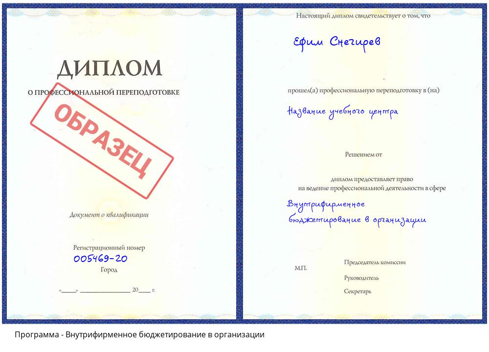 Внутрифирменное бюджетирование в организации Гагарин