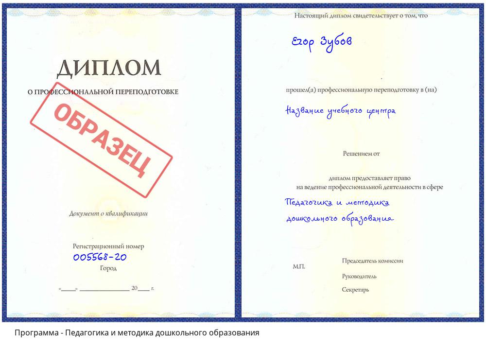 Педагогика и методика дошкольного образования Гагарин