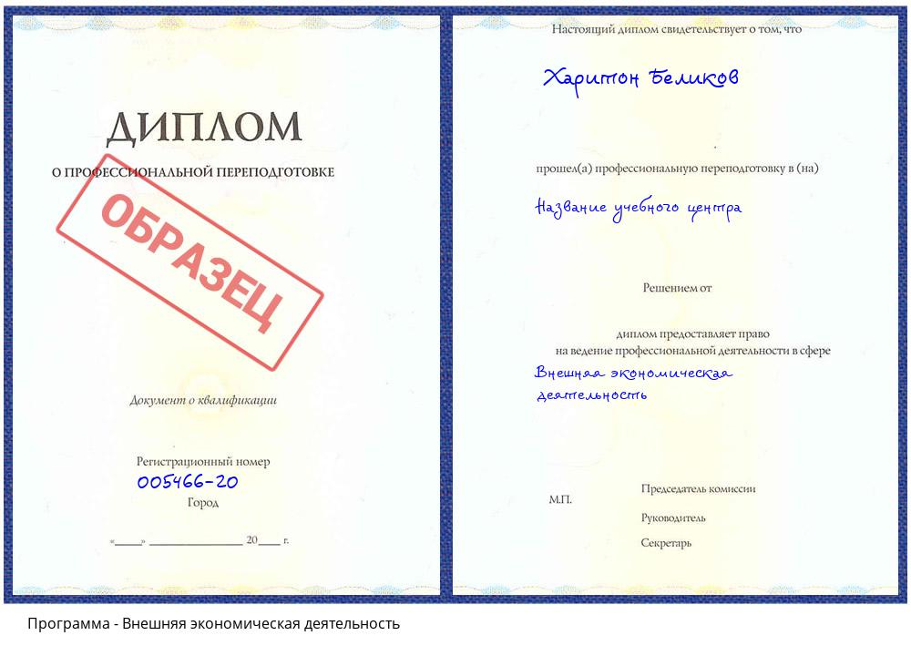 Внешняя экономическая деятельность Гагарин