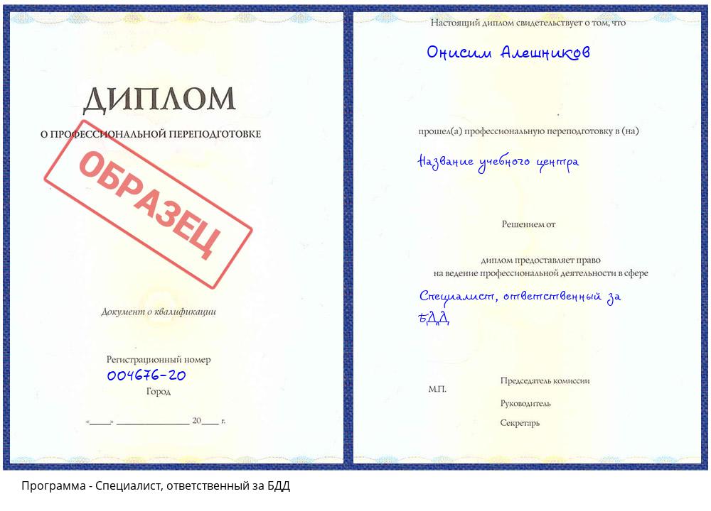 Специалист, ответственный за БДД Гагарин