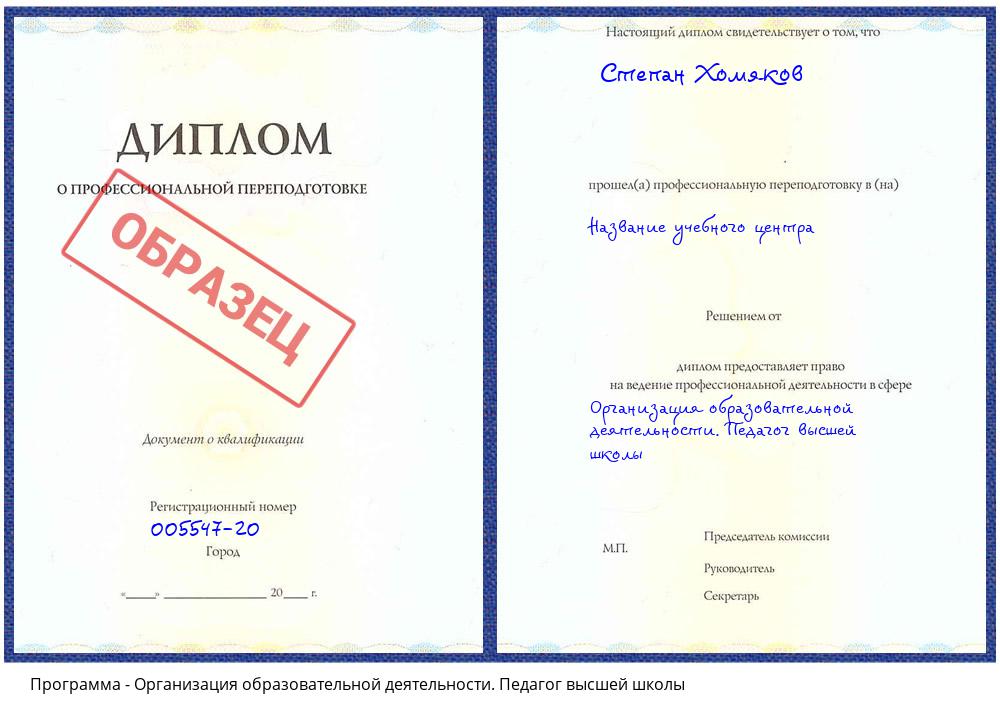 Организация образовательной деятельности. Педагог высшей школы Гагарин