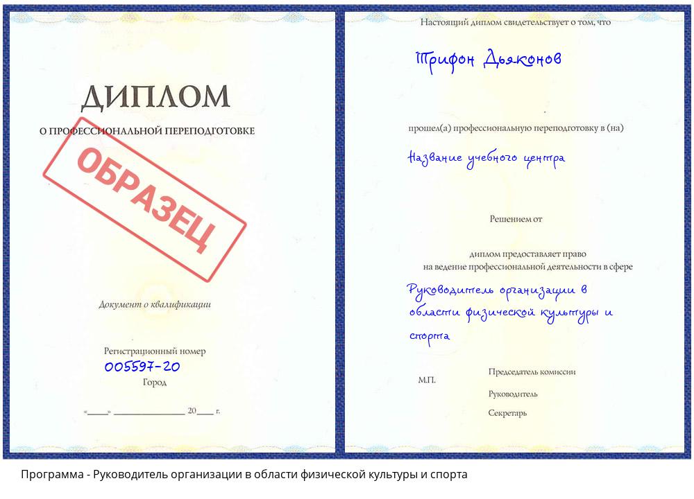 Руководитель организации в области физической культуры и спорта Гагарин