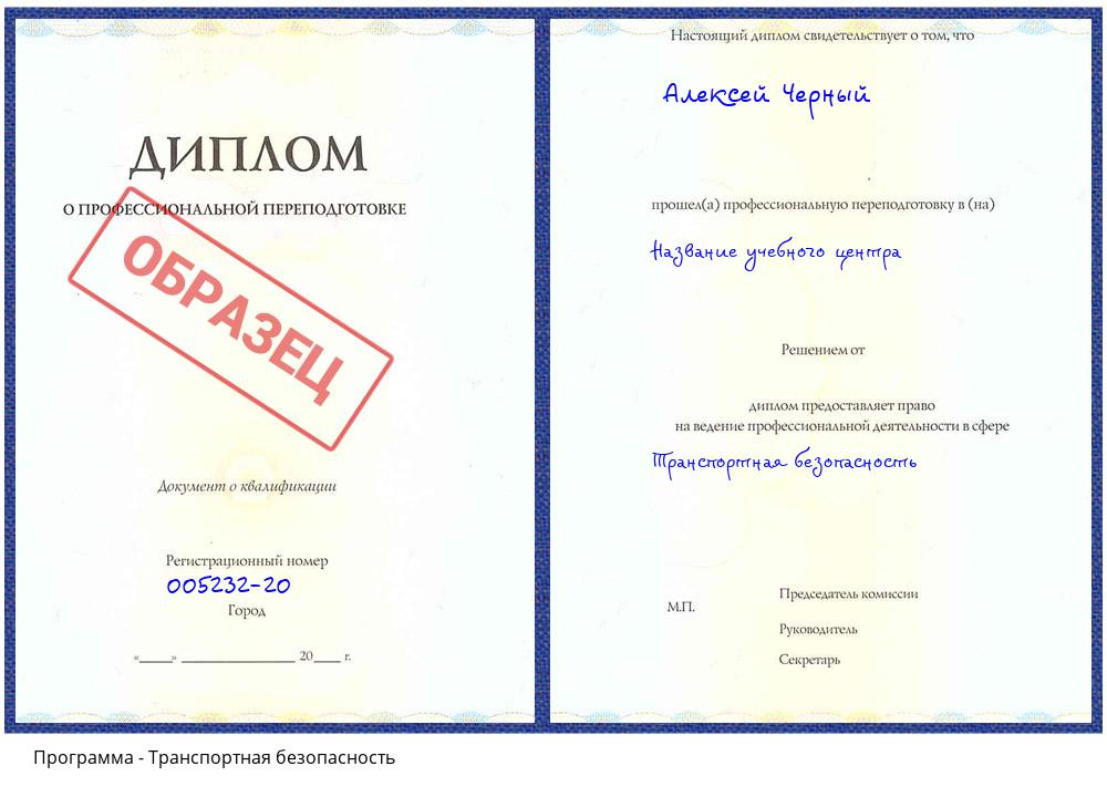 Транспортная безопасность Гагарин
