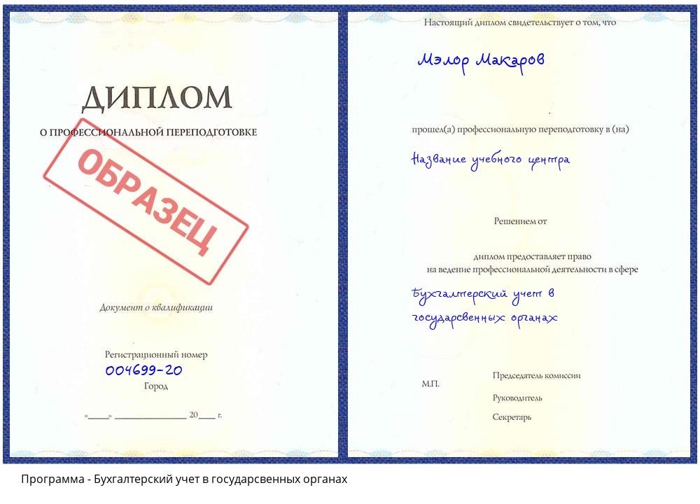 Бухгалтерский учет в государсвенных органах Гагарин