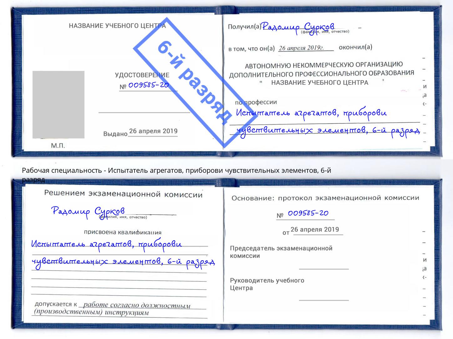 корочка 6-й разряд Испытатель агрегатов, приборови чувствительных элементов Гагарин