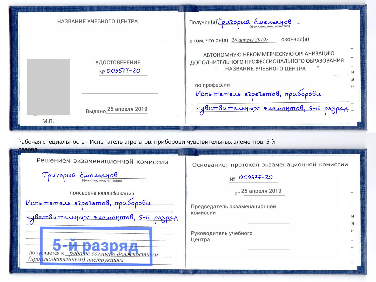 корочка 5-й разряд Испытатель агрегатов, приборови чувствительных элементов Гагарин