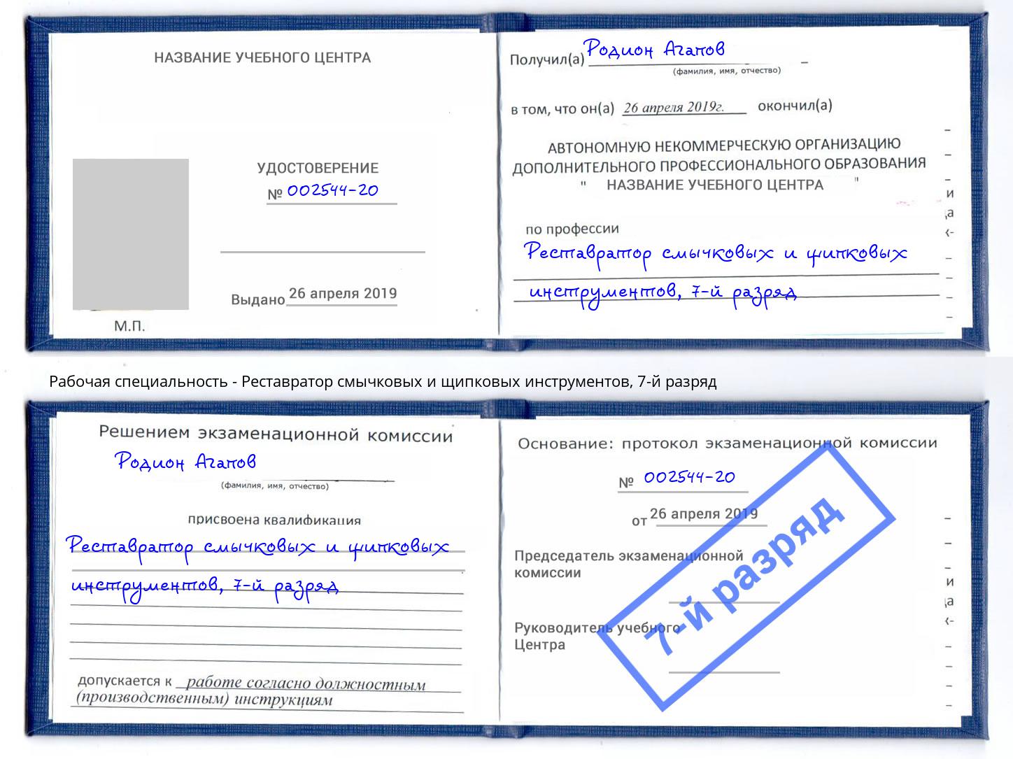 корочка 7-й разряд Реставратор смычковых и щипковых инструментов Гагарин