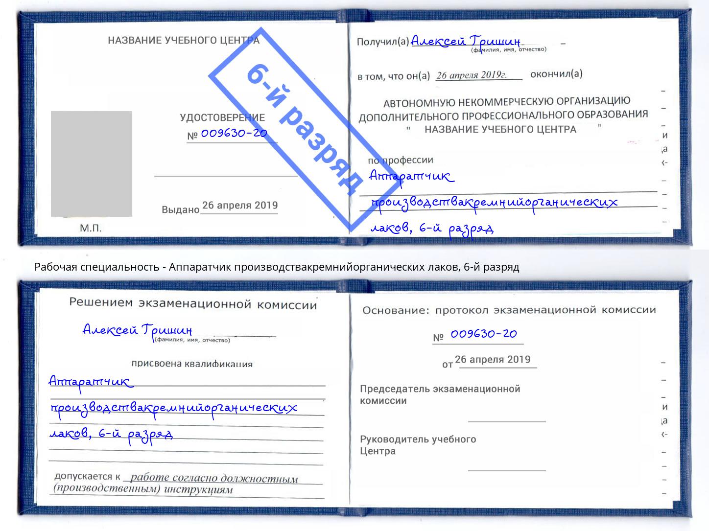 корочка 6-й разряд Аппаратчик производствакремнийорганических лаков Гагарин