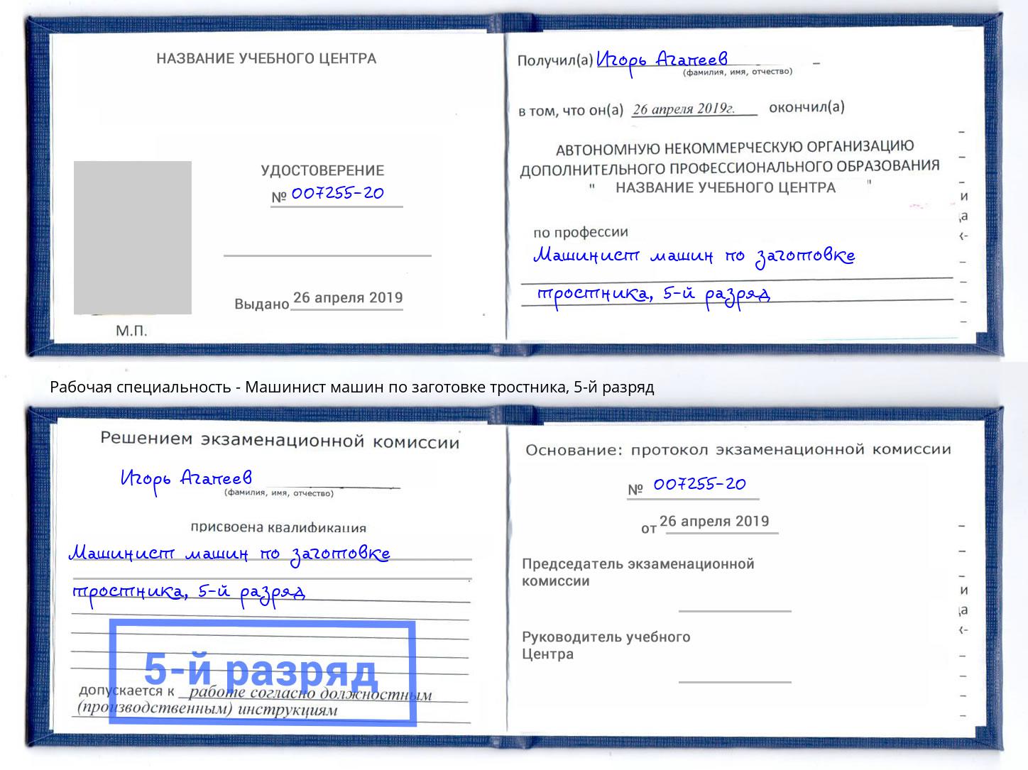 корочка 5-й разряд Машинист машин по заготовке тростника Гагарин