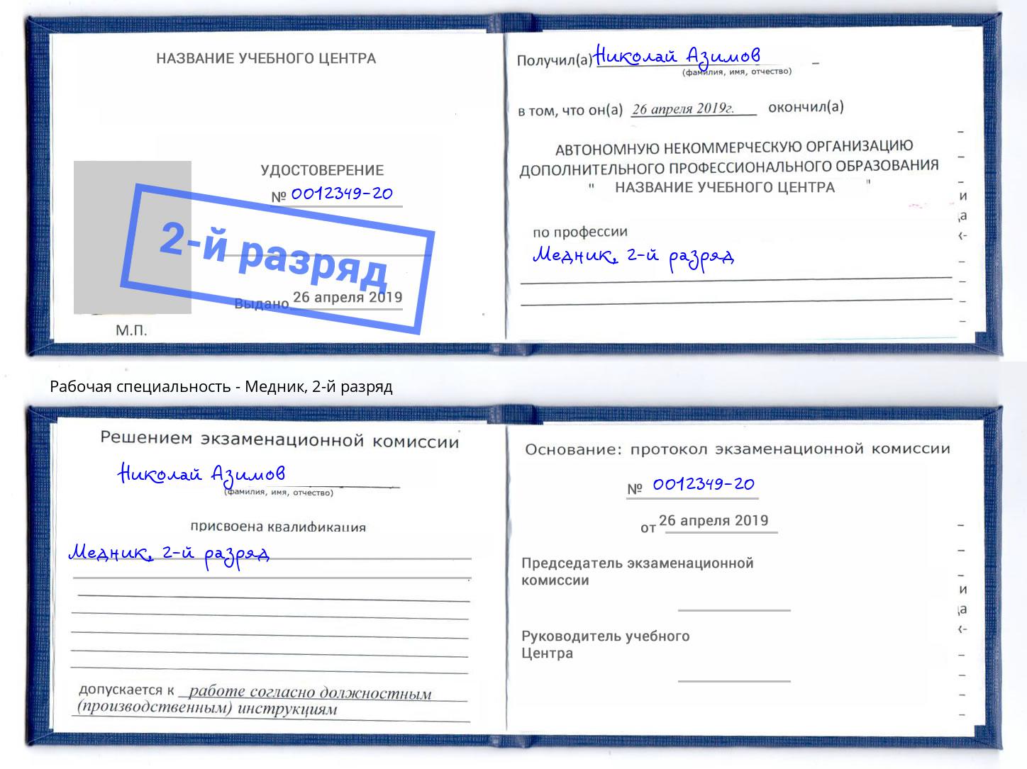корочка 2-й разряд Медник Гагарин