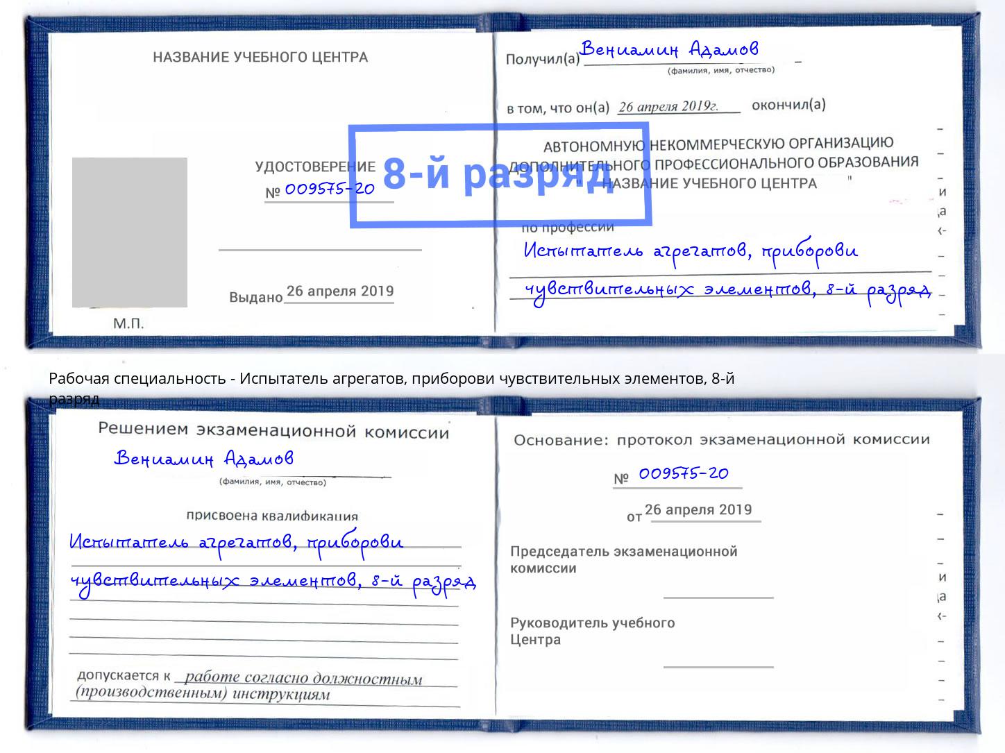 корочка 8-й разряд Испытатель агрегатов, приборови чувствительных элементов Гагарин